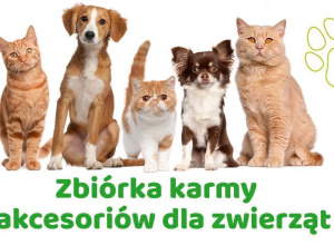 Październik miesiącem dobroci dla zwierząt