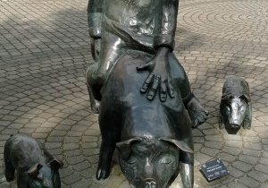 Pofajdok Rycerz