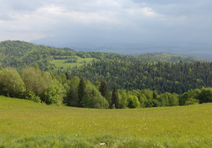 Gorce