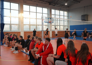 Kibice