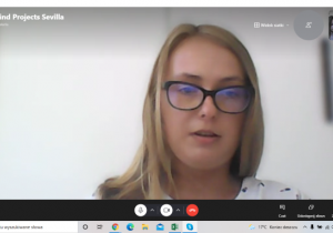 Rozmowa skype z koordynatorem projektu w Sevilli