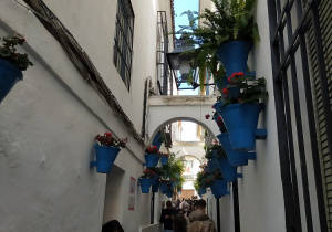 Spacer wąskimi uliczkami Kordoby