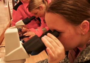 Uczniowie i goście obserwują preparaty pod mikroskopami w pracowni biologicznej 102 w budynku ZSP 8