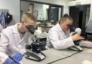 Uczniowie wykonują pracę z mikroskopami