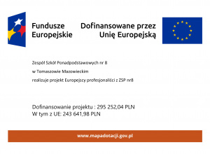 Rusza projekt "Europejscy profesjonaliści z ZSP nr8"