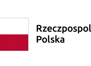 Raport ewaluacyjny projektu