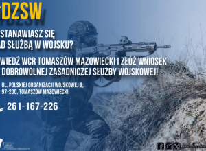 Dobrowolna Zasadnicza Służba Wojskowa