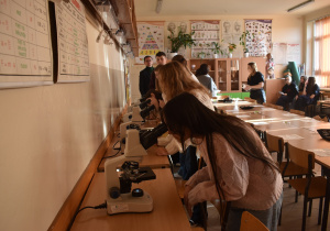 Uczniowie podczas mikroskopowania