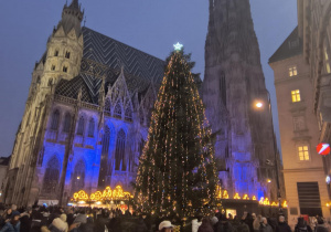 Katedra św. Szczepana.