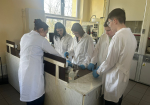 Uczniowie wykonują zadania