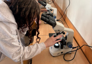 zajęcia z mikroskopowania