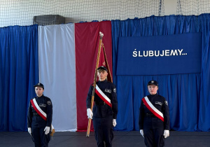 Poczet sztandarowy