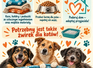 Zbiórka darów dla Schroniska dla Zwierząt
