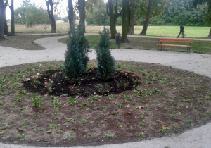 Otwarcie zrewitalizowanego zabytkowego parku w miejscowości Lipie koło Czerniewic